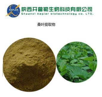 *樣品 博爾塔拉*絞股藍提取物