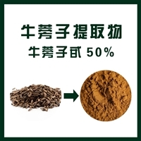 牛蒡子提取物牛蒡子甙50 純植物提取物 歡迎選購(gòu)
