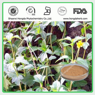 植物提取物-專業(yè)植提廠家,現(xiàn)貨供應(yīng)蕁麻提取物,純天然優(yōu)質(zhì)原料藥,質(zhì)優(yōu)價廉-植物提.