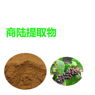 甘肅斯諾特 商陸提取物 免費(fèi)寄樣品 商陸粉