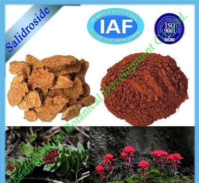 【陜西慧科廠家優(yōu)質山楂提取物】價格_廠家_圖片 -