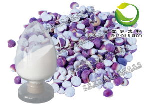 供應積雪草總苷,純天然植物提取物,優(yōu)質(zhì)產(chǎn)品,醫(yī)藥原料