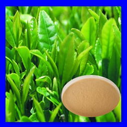 紅茶茶多酚 價(jià)格、型號(hào)規(guī)格與植物提取物特性詳解
