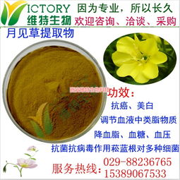 月見草提取物限時促銷，西安維特生物科技為您帶來純正植物精華